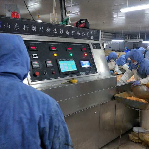 广州非油炸烤鸡排生产线